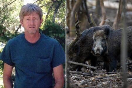 Recently retired Oklahoma man, 63, dies after driving into pack of wild hogs Recently retired Oklahoma man, 63, dies after driving into pack of wild hogs