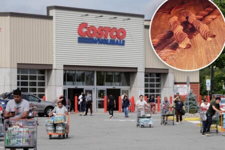Wildly popular Costco dessert returns— but some fans feel duped because of one key change Wildly popular Costco dessert returns— but some fans feel duped because of one key change