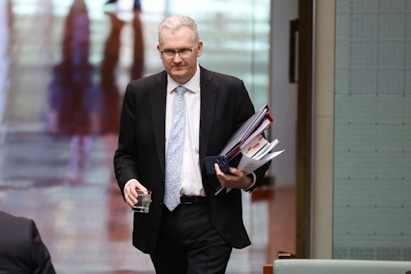 Minister for Home Affairs Tony Burke.