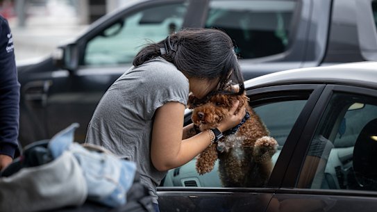 Malini V. farewells her dog, Furphy, at Melbourne Airport last week.