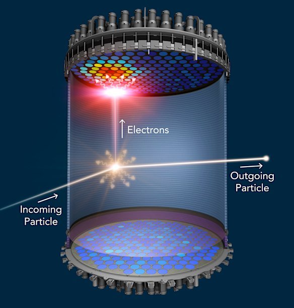 When a WIMP collides with a xenon atom, the xenon atom emits a flash of light and electrons.