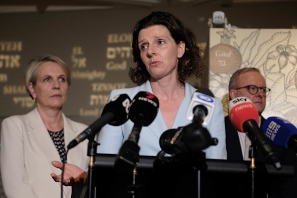 Allegra Spender wants stronger protections against hate speech.