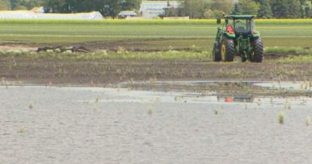 Harvest delayed across the Prairies as farmers deal with waterlogged fields Harvest delayed across the Prairies as farmers deal with waterlogged fields