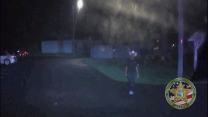Florida deputies taser sword-wielding burglary suspect, video shows