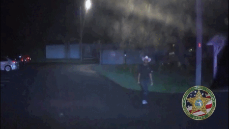 Florida deputies taser sword-wielding burglary suspect, video shows