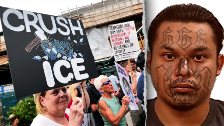 White House brings receipts after media claims noncriminal ICE arrests ‘soaring’: ‘False narratives’ White House brings receipts after media claims noncriminal ICE arrests ‘soaring’: ‘False narratives’