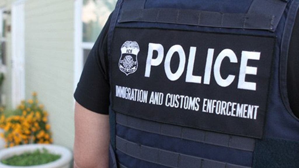 Suspect in custody for strangling Massachusetts woman to death in her home is Brazilian illegal immigrant Suspect in custody for strangling Massachusetts woman to death in her home is Brazilian illegal immigrant