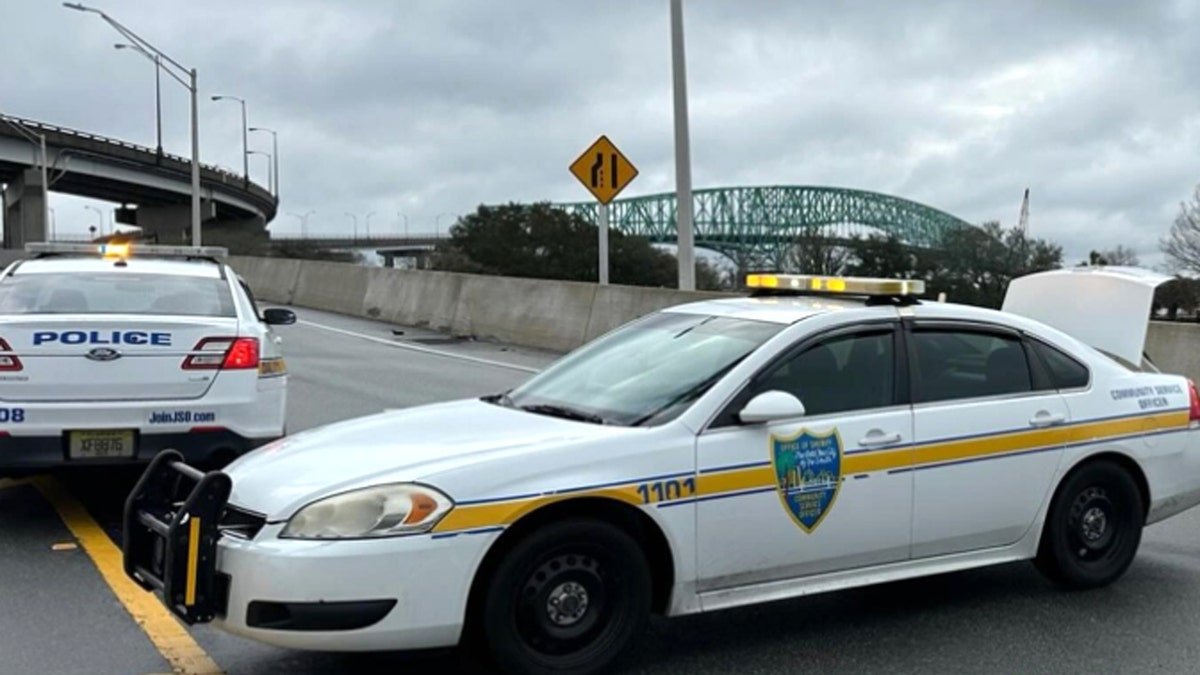 File image of Jacksonville Sheriff's office police vehicles