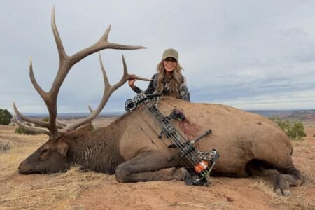 Kristi Noem poses with massive dead elk in graphic bow-hunting photos Kristi Noem poses with massive dead elk in graphic bow-hunting photos