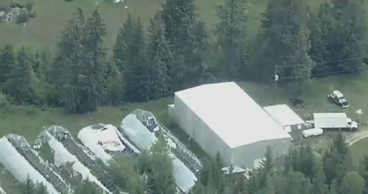 Only 1 person charged after RCMP dismantle Canada’s largest super lab Only 1 person charged after RCMP dismantle Canada’s largest super lab
