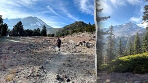 Hikers stranded on Mount Shasta after relying on AI to plan trip, sheriff says Hikers stranded on Mount Shasta after relying on AI to plan trip, sheriff says