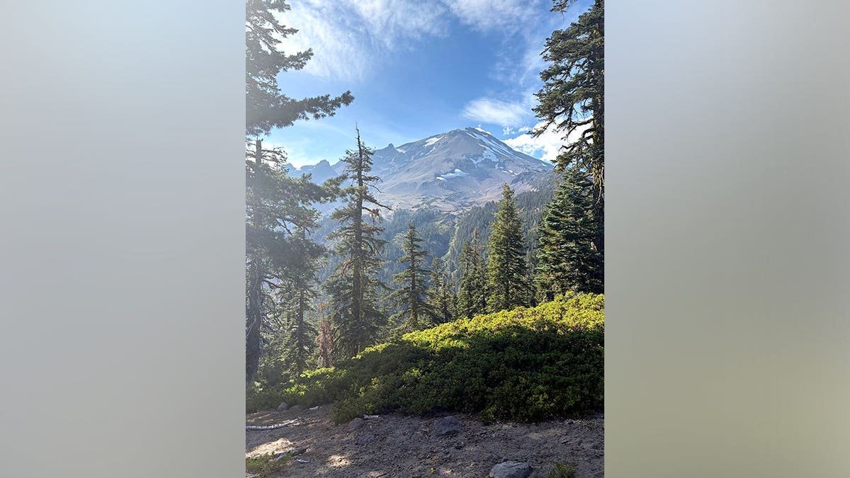 A view of Mount Shasta, trees and rough terrain