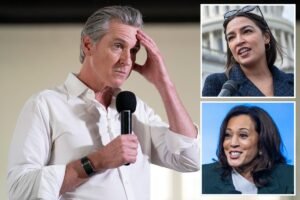 Newsom’s support for 2028 presidential bid tanks, AOC and other contenders rise: poll