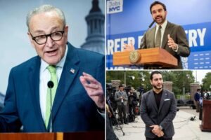 Chuck Schumer’s definition of ‘antisemite’ would include Mamdani, Senate hopeful El-Sayed