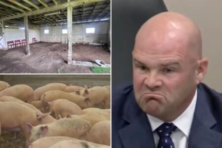 California neighbors revolt over proposed slaughterhouse they fear will bring blood, noise and stench to their doorstep