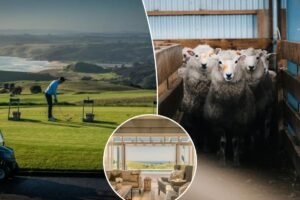 A to Zealand: Golf, sheep, doomsday preppers, now a top hotel brand — Kiwi country has it all A to Zealand: Golf, sheep, doomsday preppers, now a top hotel brand — Kiwi country has it all