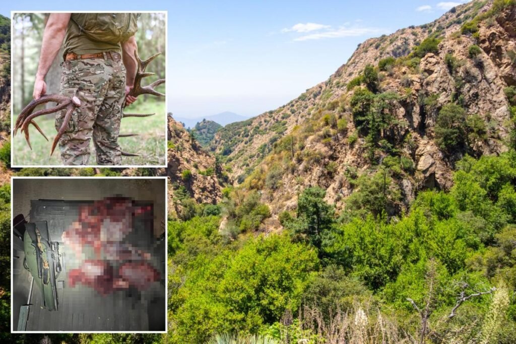 Blood-soaked California poachers arrested after cops make horrifying discovery Blood-soaked California poachers arrested after cops make horrifying discovery