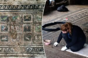 Stunning 2,000-year-old Roman mosaic unearthed in Turkey appears to honor family’s beloved cat and dog Stunning 2,000-year-old Roman mosaic unearthed in Turkey appears to honor family’s beloved cat and dog