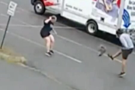 Mystery animal terrorizing New Hampshire neighborhood after attacking 3rd person Mystery animal terrorizing New Hampshire neighborhood after attacking 3rd person