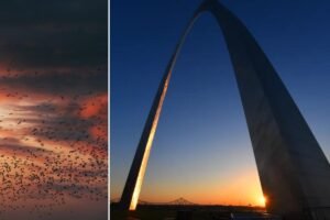 One of America’s most iconic monuments is going dark to save lives — but not humankind One of America’s most iconic monuments is going dark to save lives — but not humankind