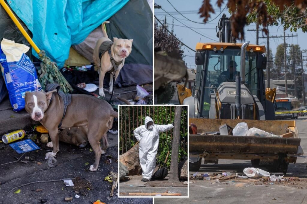 Deadly rat urine disease linked to infested RV after hazmat crews swooped on massive California tent city Deadly rat urine disease linked to infested RV after hazmat crews swooped on massive California tent city