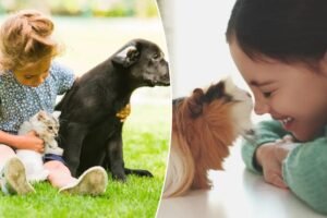Pets improve kids’ mental health — except one, which makes things worse