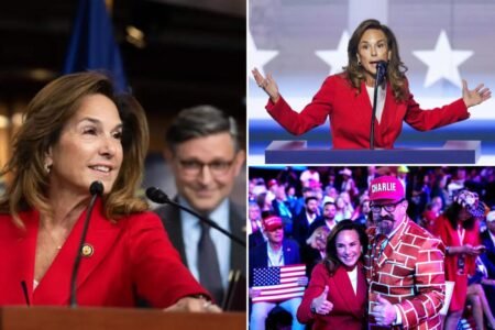 Exclusive | Pol behind the GOP’s ‘common sense vs. communist crazy’ messaging strategy revealed to be Lisa McClain Exclusive | Pol behind the GOP’s ‘common sense vs. communist crazy’ messaging strategy revealed to be Lisa McClain