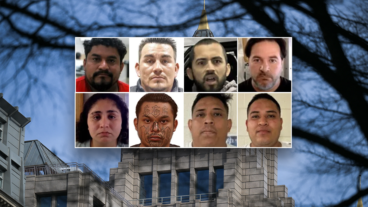 Noncriminal illegal immigrant mugshots