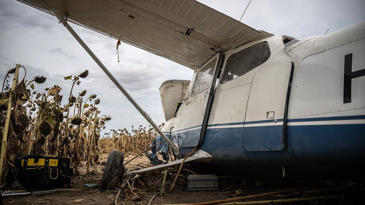 A plane crash in a sunflower field in Hungary.