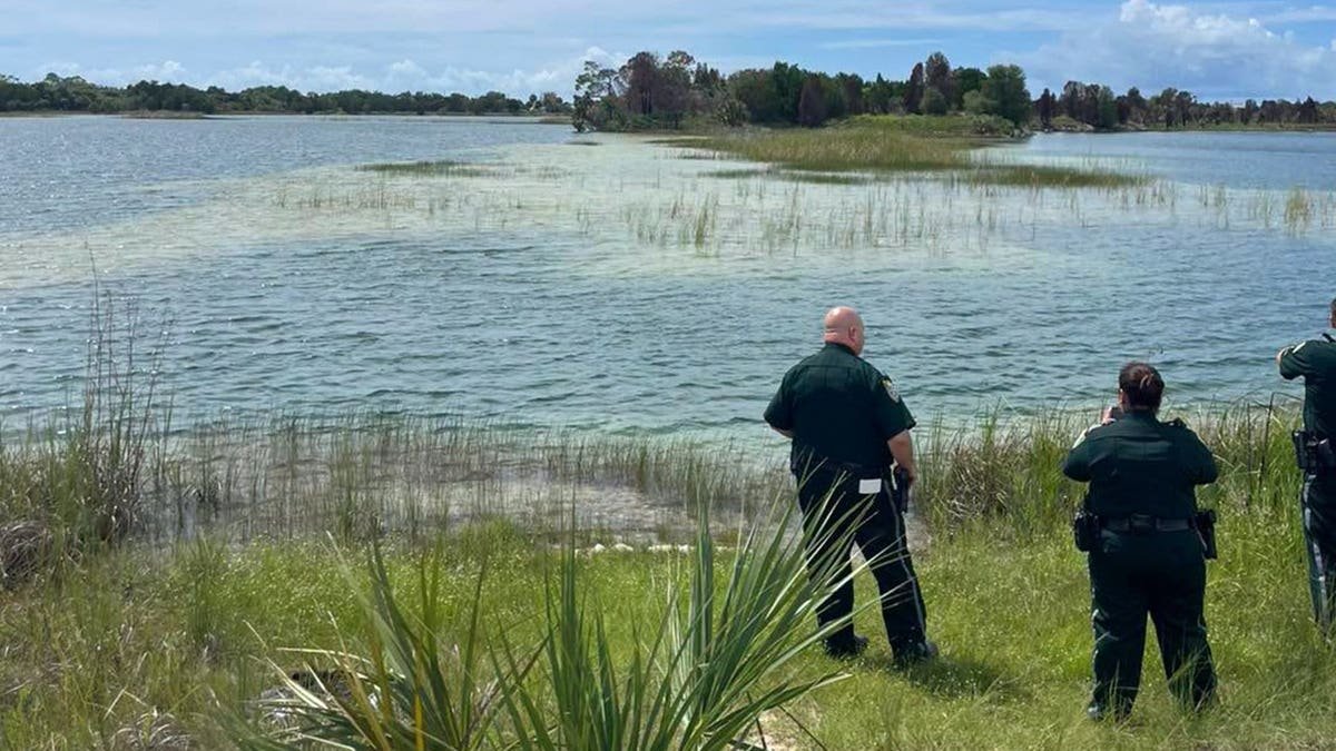 Police looking at Florida preserve after alligator attack.