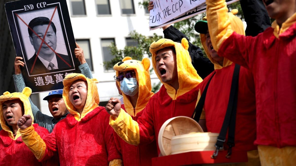 chinese protestors