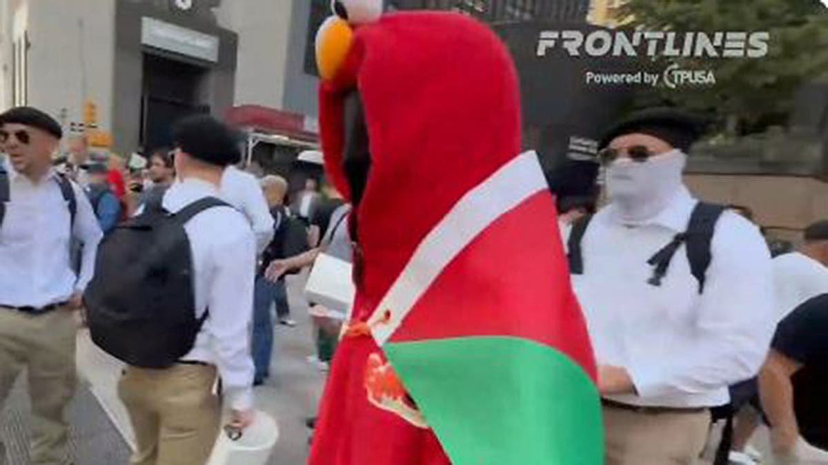 Pro-Palestinian protester wearing Elmo costume