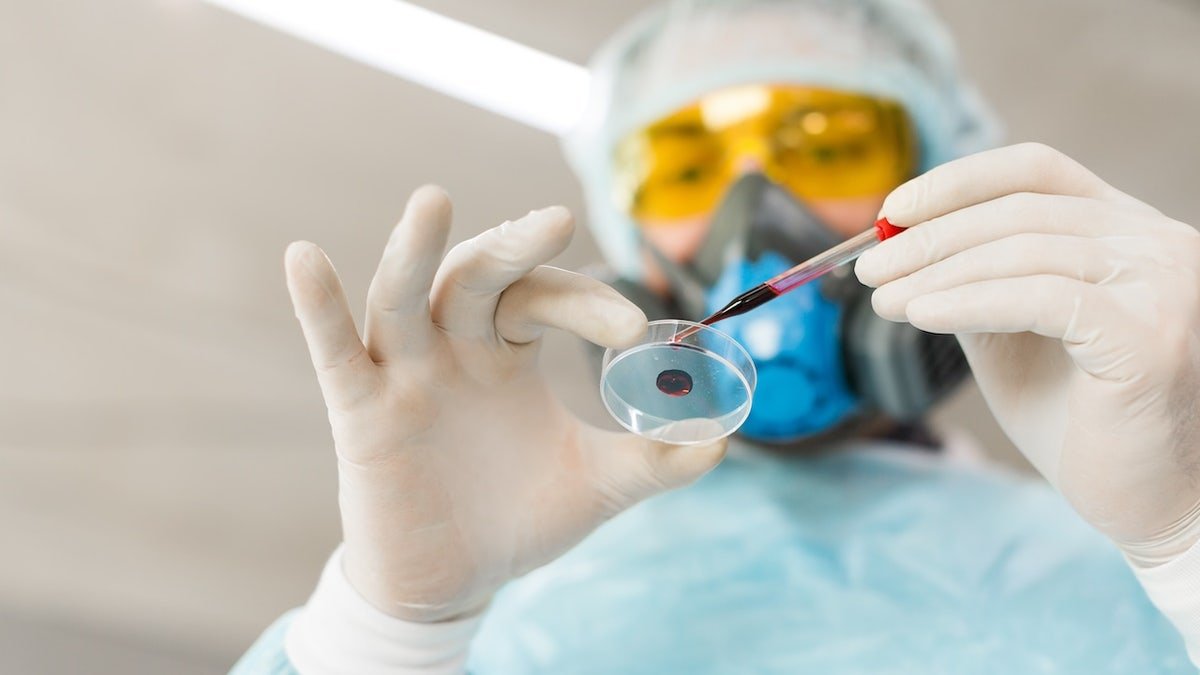 Researcher testing blood sample