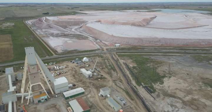 Trump’s threat not a concern for Saskatchewan potash mining town, mayor says Trump’s threat not a concern for Saskatchewan potash mining town, mayor says