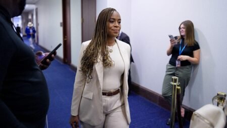 Yet another Dem ripped online for ‘inventing racism’ as lawmakers peddle debunked ‘lynching’ claims