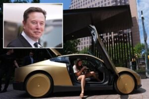 Elon Musk launches steering-wheel-free Tesla Cybercabs in bet riders lose ‘no control’ fears