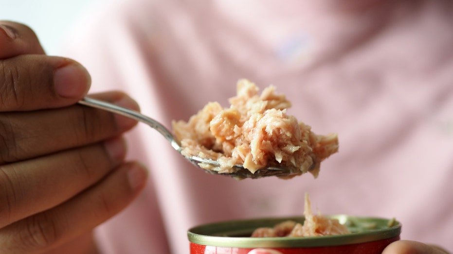 spoon pick canned tuna closeup