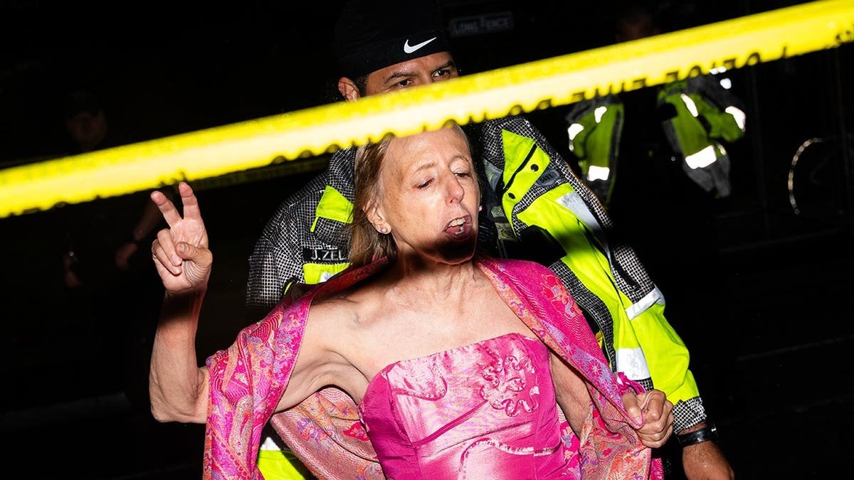 Code Pink co-founder being removed by security.