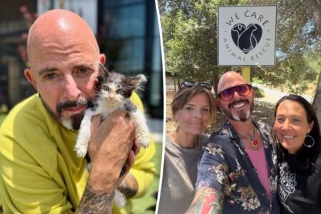 Reality TV star takes over decades-old Northern California animal rescue Reality TV star takes over decades-old Northern California animal rescue