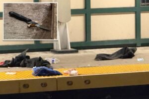 Madman fatally stabs straphanger, 59, during argument on rush-hour NYC subway train: police Madman fatally stabs straphanger, 59, during argument on rush-hour NYC subway train: police