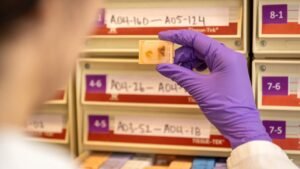 Fetal tissue supplier billed 5 procurement fee per organ, warns records could imply illegal sales: records